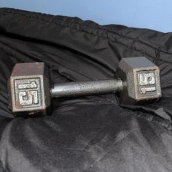 15 Pound Dumbbell