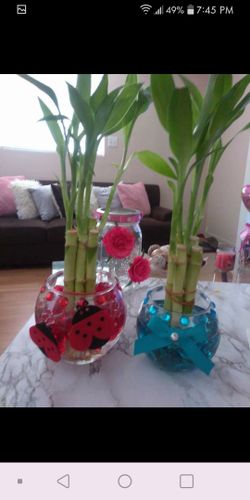 Bamboo plants and picture frames for valentines day