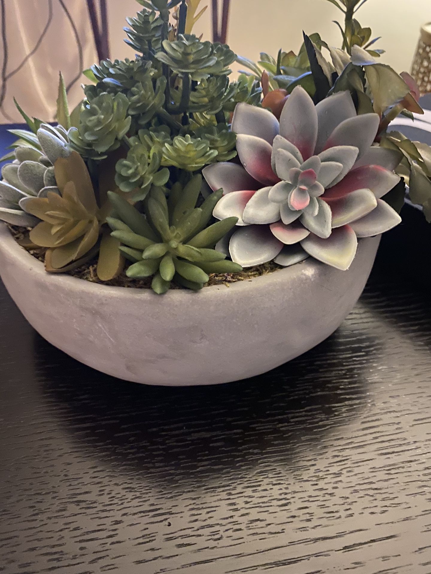 Succulent faux plant pot home decor