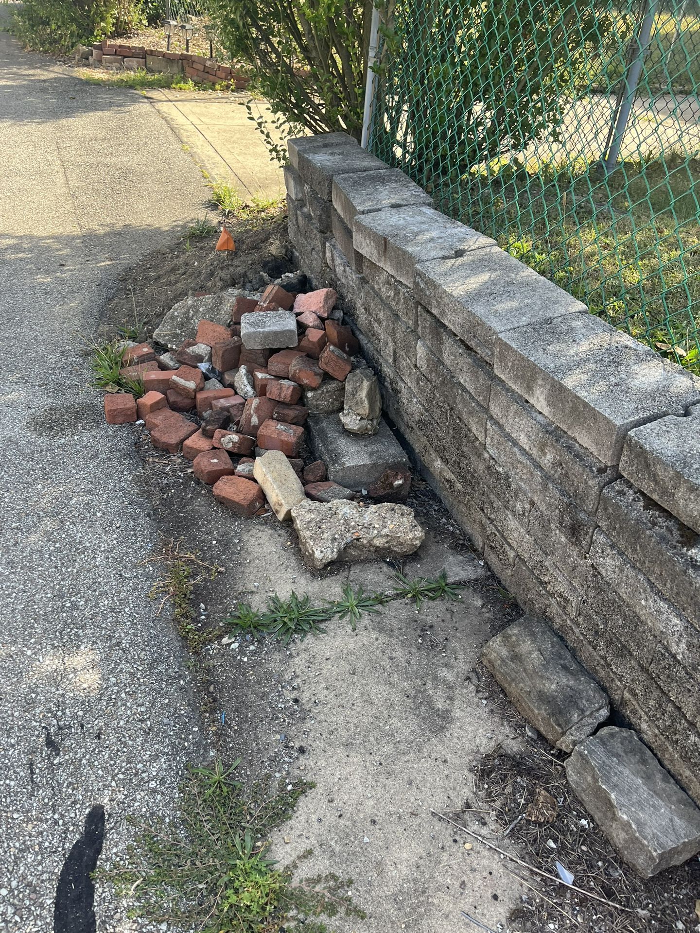 Free rocks