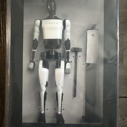 Tesla Robot