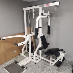 Paramount Fitness Or Precor Cable Machines Full Body Workout Gym Equipment 