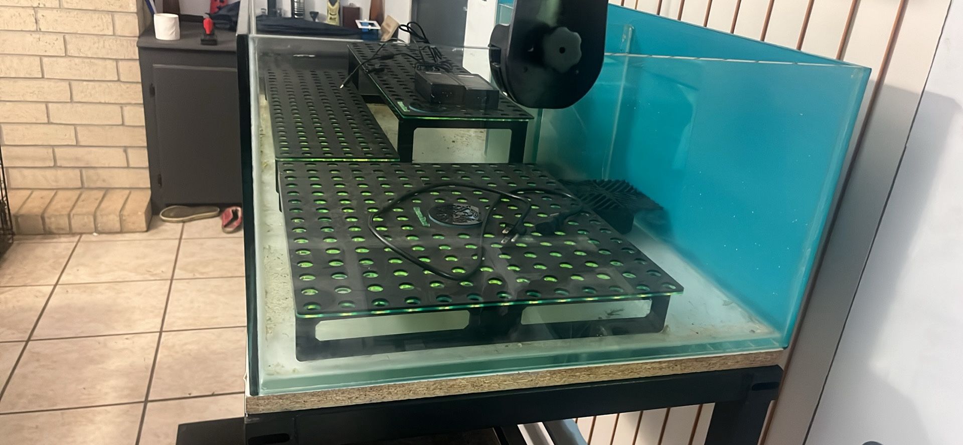 Frag Tank