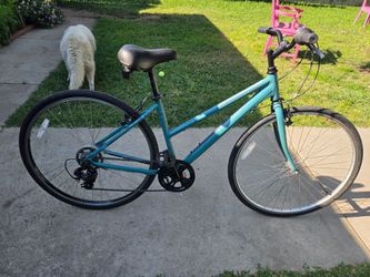 SE Bike