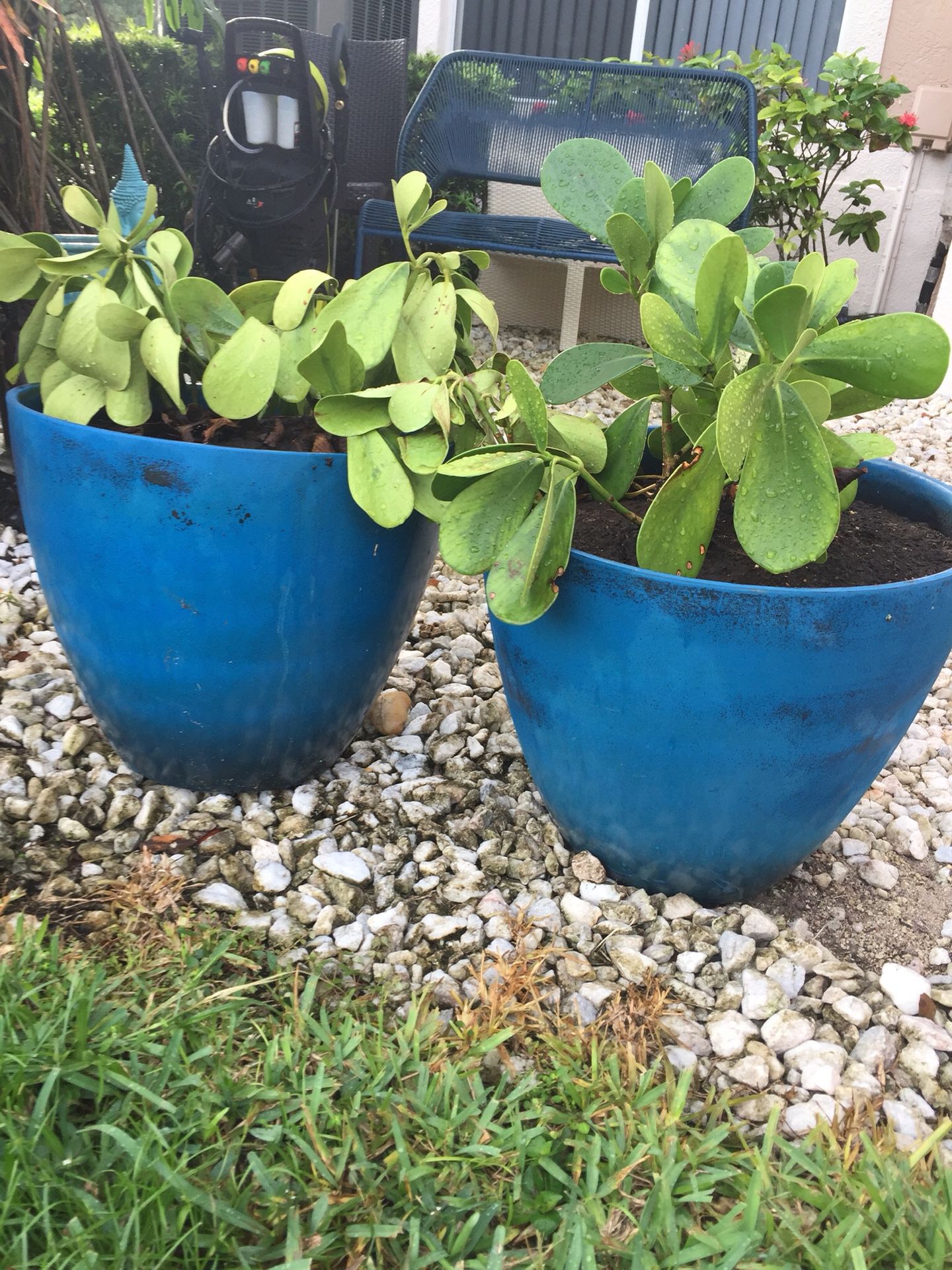 18 inch garden pots for plants (2) height 15 cement fiber resin
