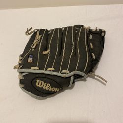 Wilson Youth Baseball Glove