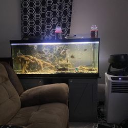 75 Gallon Fish Tank And Stand