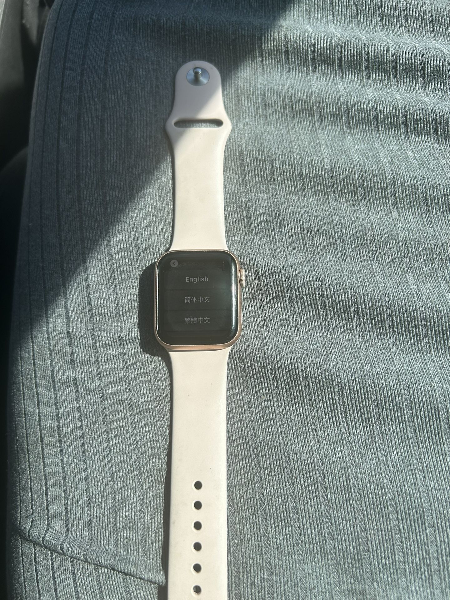 Series 5 Apple Watch