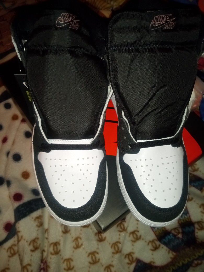 Brand New Air Jordan 1 Retro High OG Size 10 $200