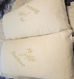 Pillows, 2 King Bamboo Hyperallergenic Foam.