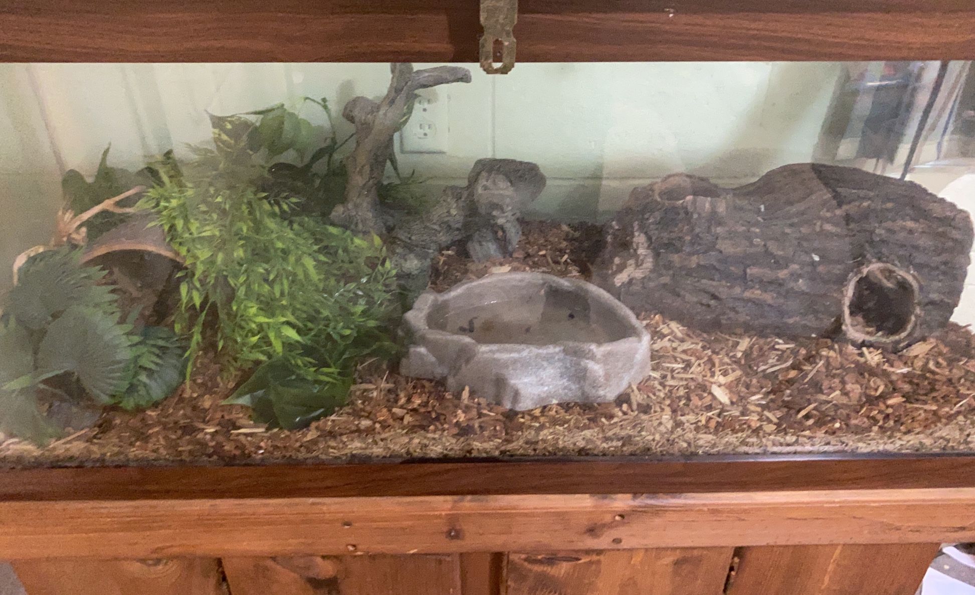 100 Gallon Tank