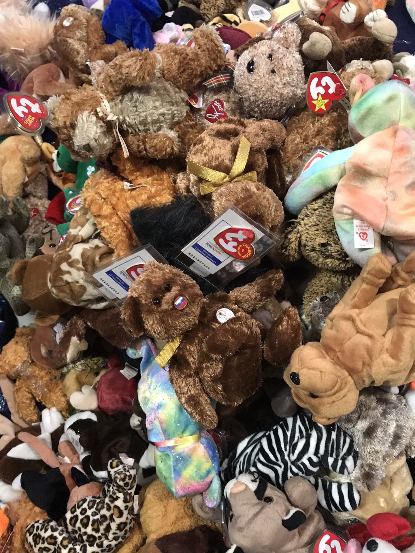 284 beanie babies all new...(scammers already messaging me ..)