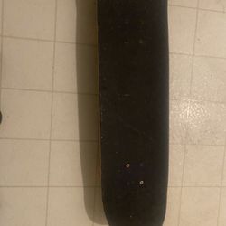 Skate Board 
