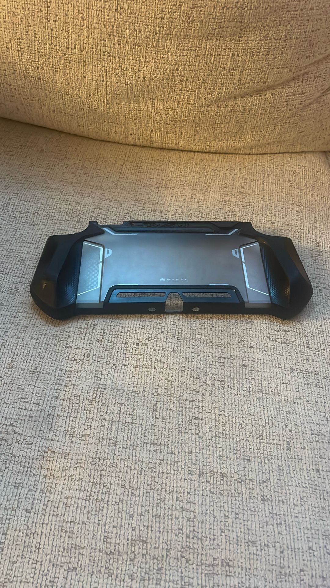 Nintendo Case