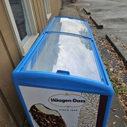 Ice Cream Freezer 