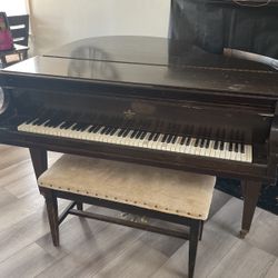 Wegman Piano1882