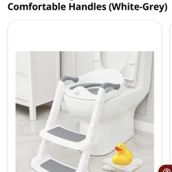 Potty Chair 