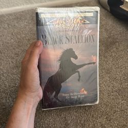 New Black stallion VHS