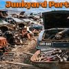 Junk Yard Parts Specialist 