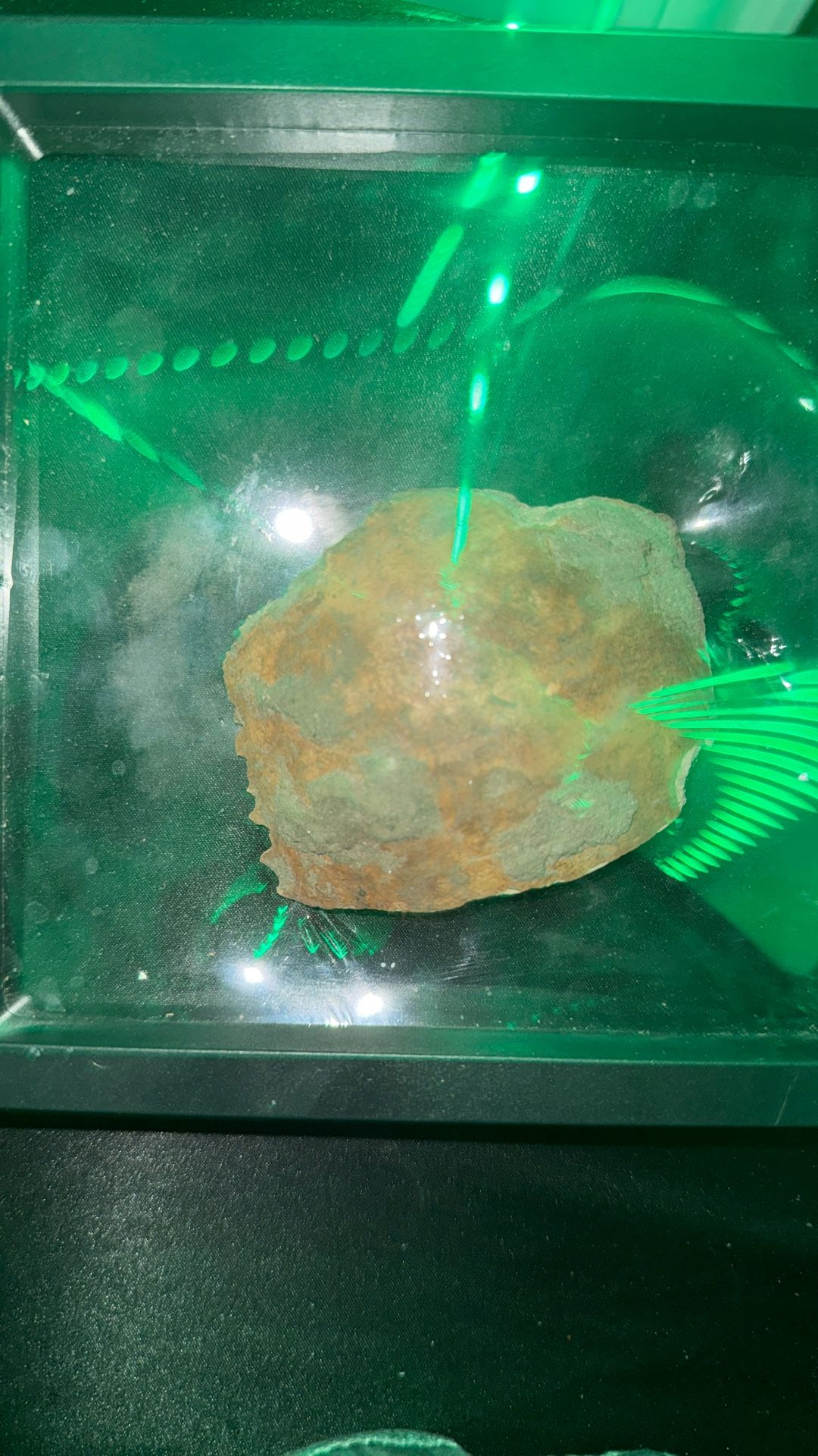 Human Skull Fragment ( Decorative, Real)