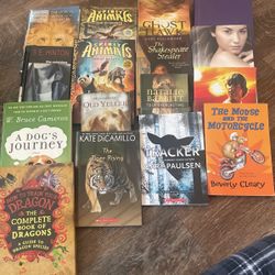 16 Chapter Books