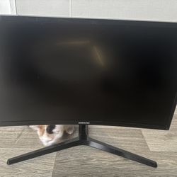 Samsung monitor (24in curved )