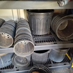 Plastic Flower Pots 
