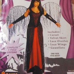 Goth Fairy Halloween Costume