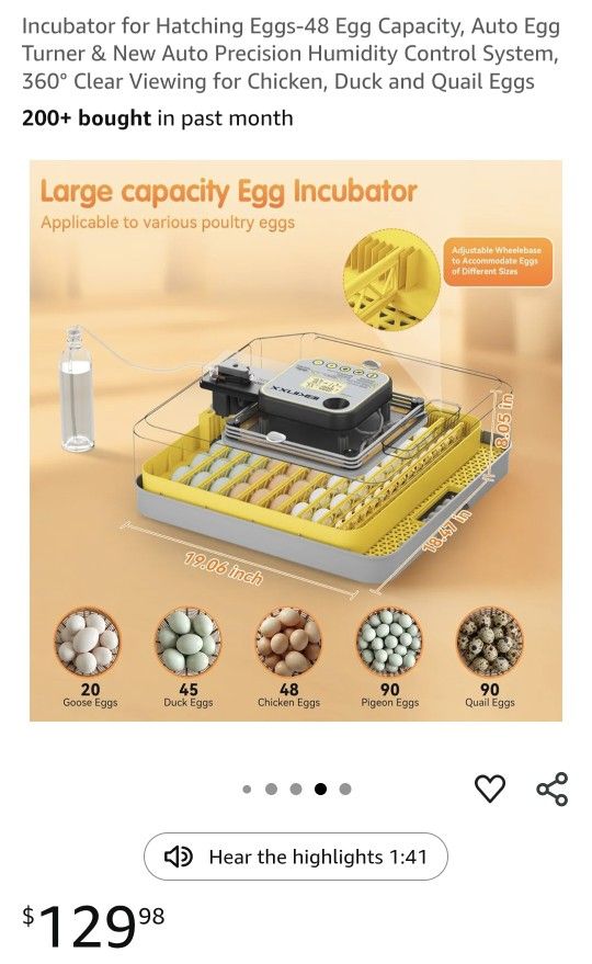 Large Egg Incubator