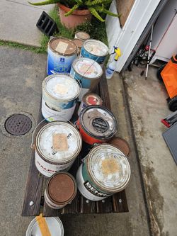 paint various colors