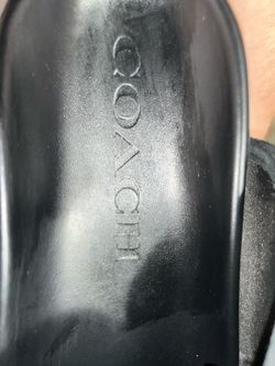 Coach Black Shoes