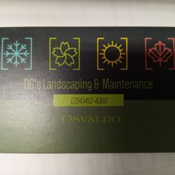 Who Needs Spring Clean Up 