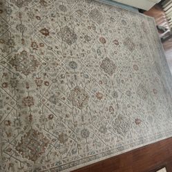 Beige area rug 8 by 10