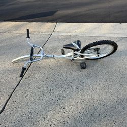 Schwinn Bike Trailer