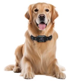 Furthrive GPS Dog Collar Wireless Dog Fence 100-3280 ft Circular Boundary - K187