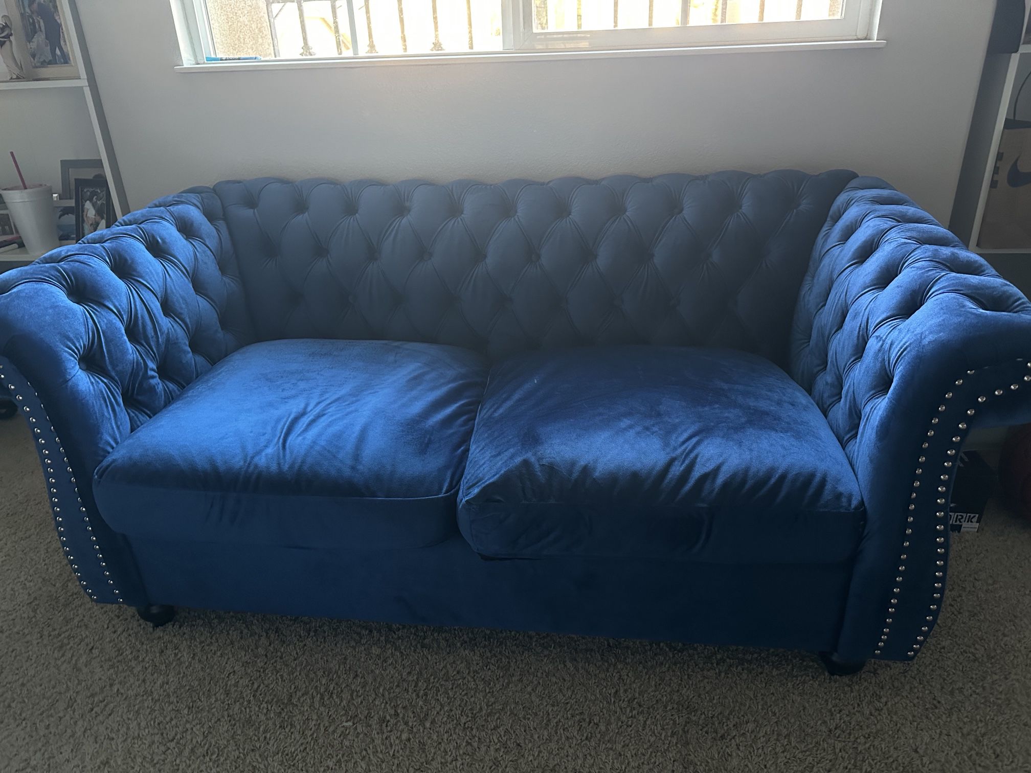 Velvet Two Person Couch 
