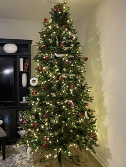 9ft- Evergreen Classics pre-lit Colorado spruce tree