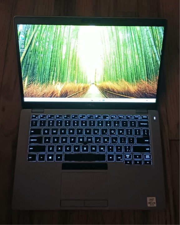 TouchScreen Dell Latitude Laptop Intel Core i5-10310u 16 GB RAM 256 GB SSD Webcam 1080P FHD LCD USB C Thunderbolt Port Windows 11 Professional