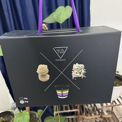 YLD Micron Bags