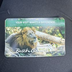 Busch gardens tickets (2)