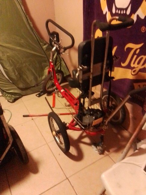 3 Wheel Bike