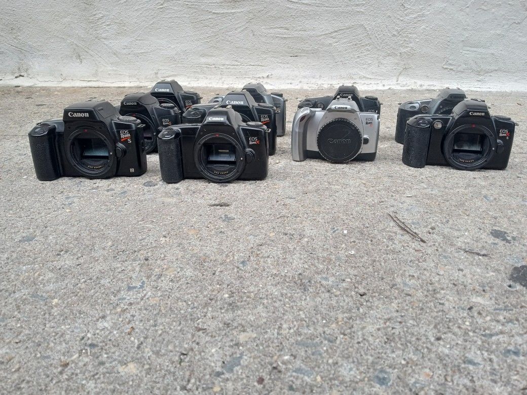 Canon Film Camera Lot (10pcs)