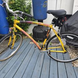 Specialized Road Bike