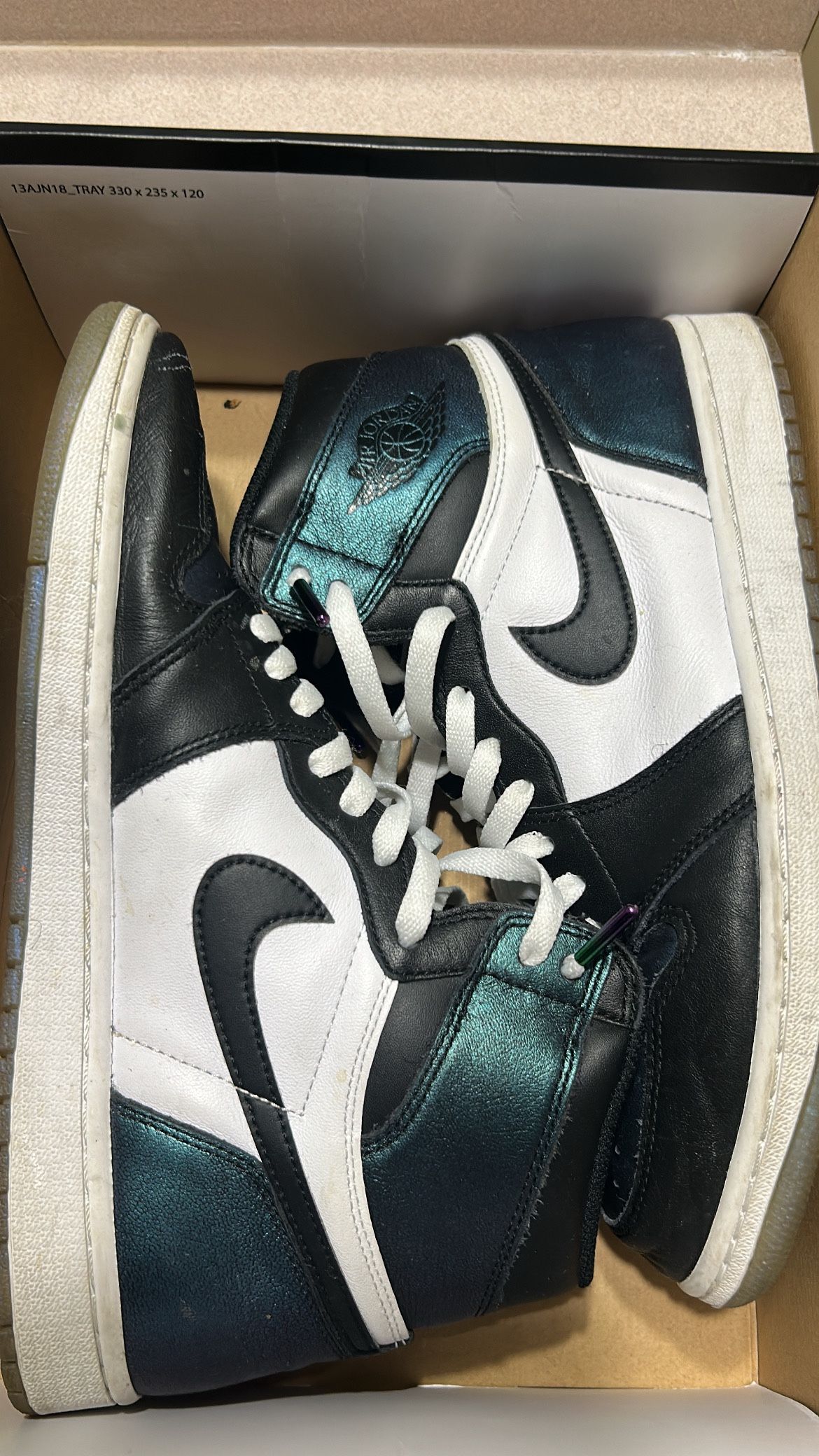 Jordan one chameleon