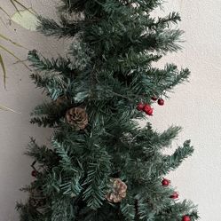 Outdoor Tree 