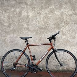 EXPRESS NOVARA 700x280 Wheels CARBON FIBER FORKS 