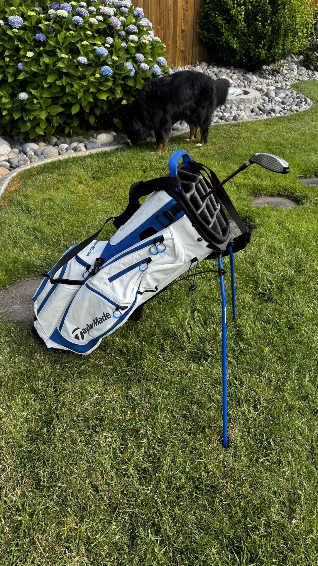 Taylor Made Golf Bag