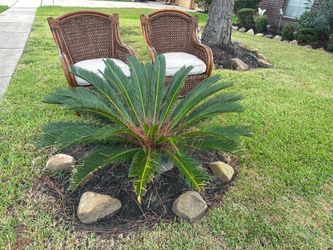 (2) PIER ONE BO HO CHAIRS WITH CUSHION THICK WICKER/STRAW