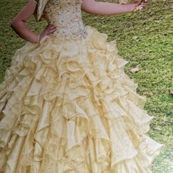 Gold With Rhinestones Quince Dress