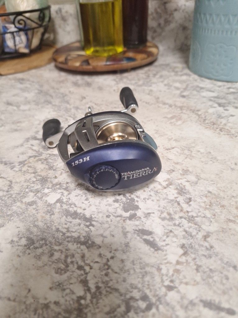 Team Daiwa Tierra 153h